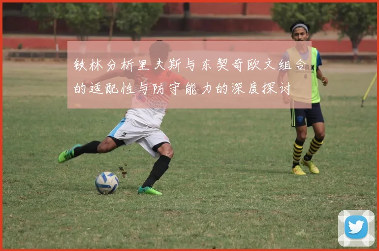 铁林分析里夫斯与东契奇欧文组合的适配性与防守能力的深度探讨